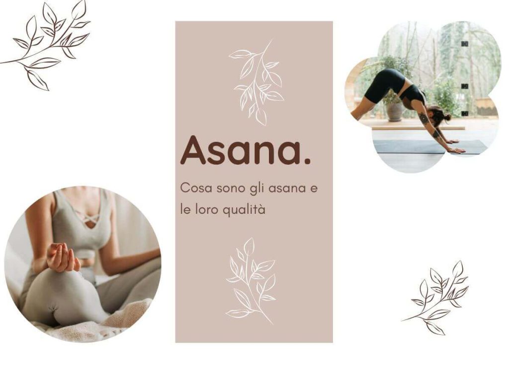 Asana. Cosa sono e le loro qualità